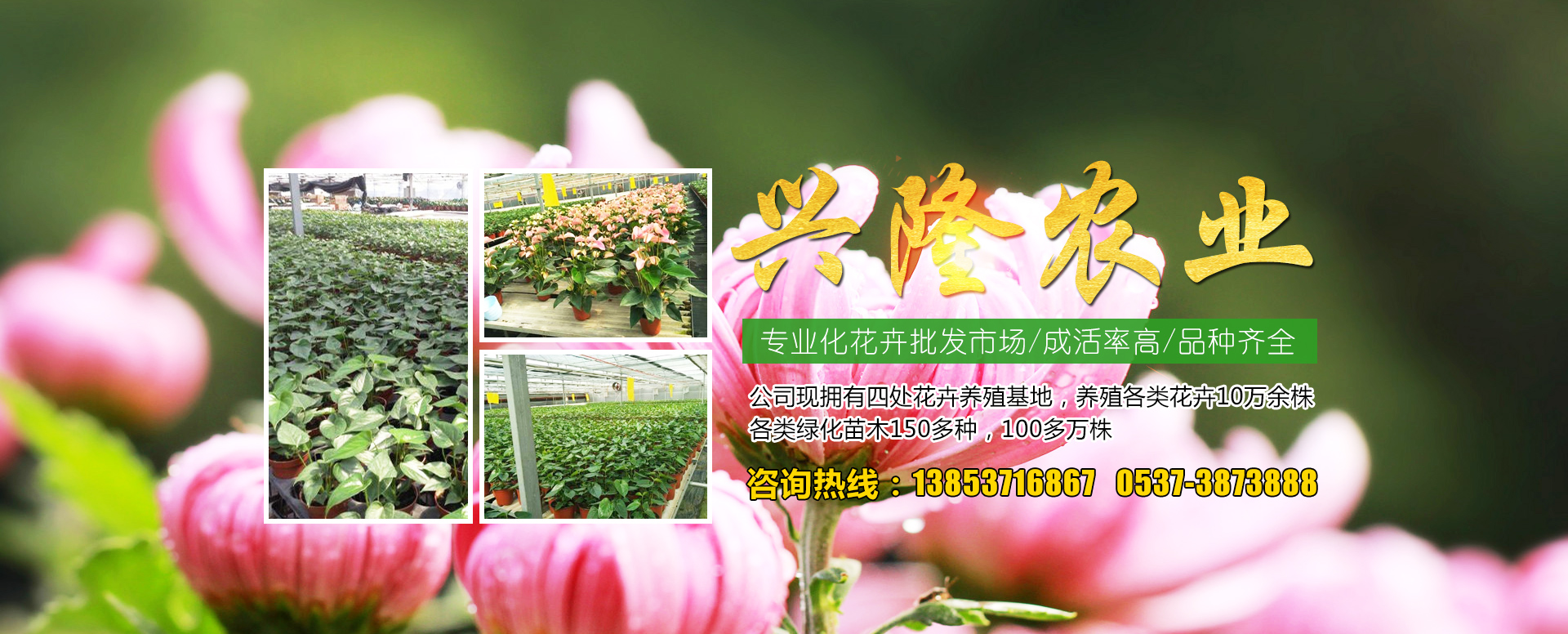 临朐宏丰金属制品有限公司